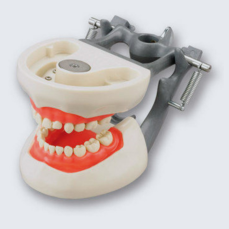 articulador dental peru